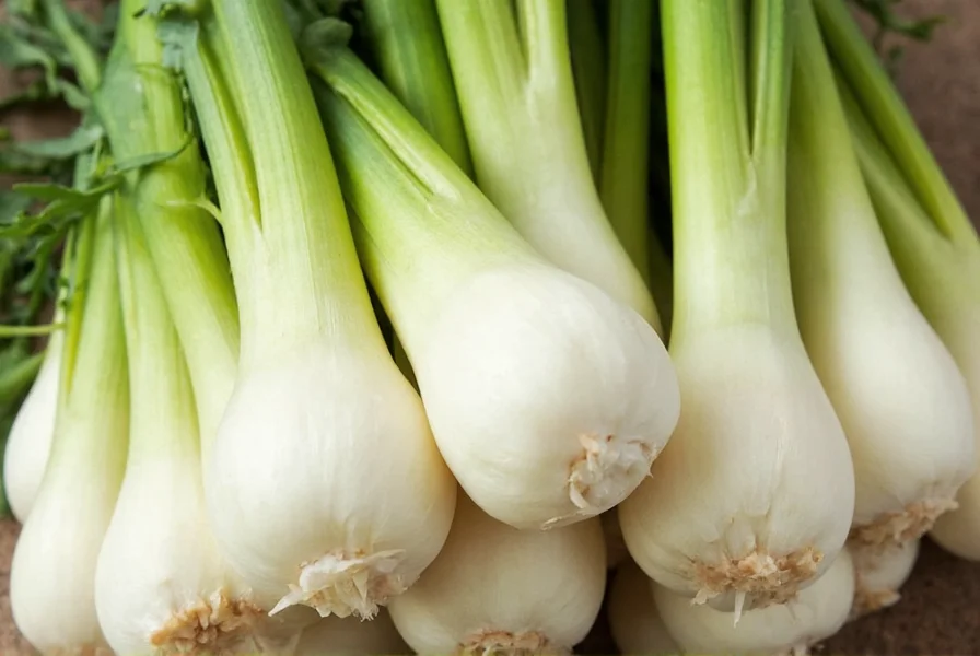 What Does Fennel Bulb Taste Like? Crisp Texture & Mild Anise Explained