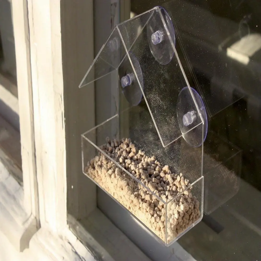 bird feeder (2).jpg