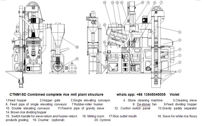 CTNM15D Structure.png