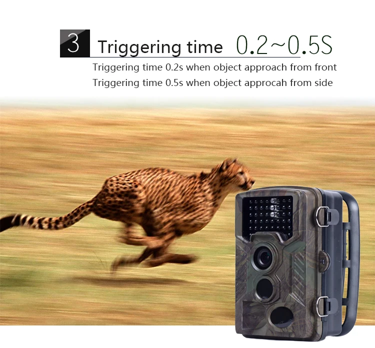 detailed 3.jpg