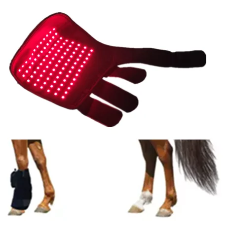 

Unique design infrared light therapy horses 3-chips led 660nm 850nm for pain relief and Muscle Relax