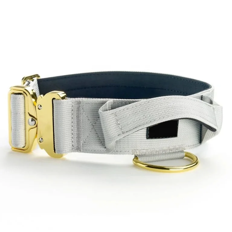

Amazon Best Seller Pet Supplies Manufacturer 2 inch nylon tactical dog collar
