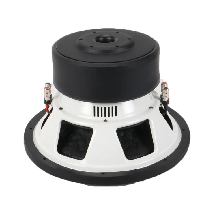 speaker subwoofer 19