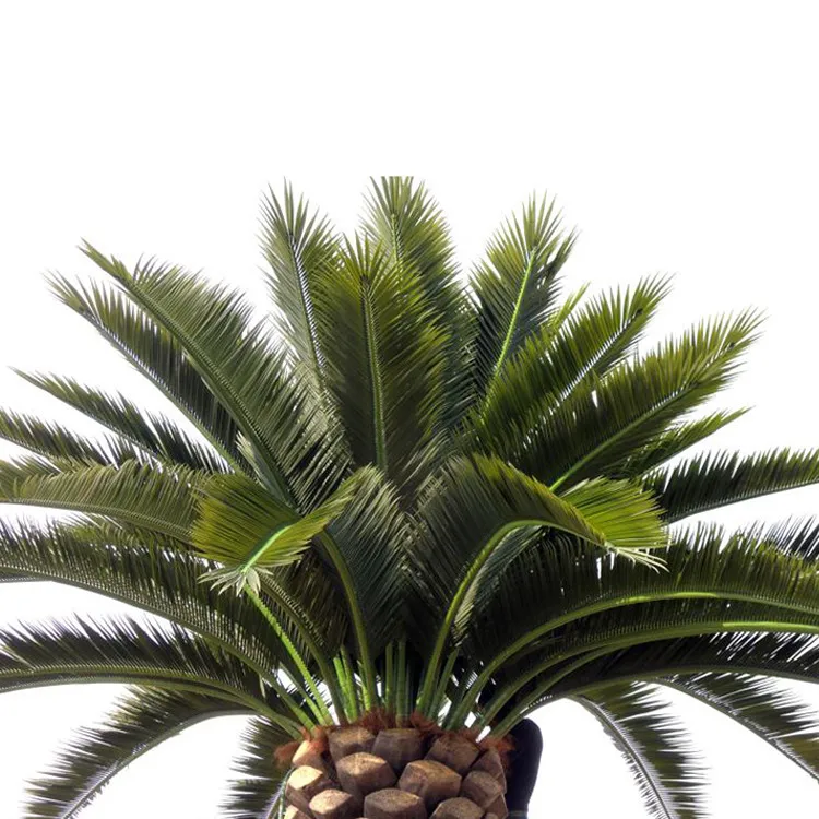 Artificial Fake Fan Palm Tree Leaves Barhi Date Palm Tree In Saudi