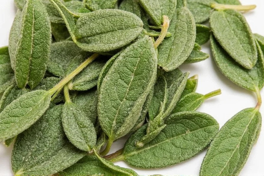 Sage Leaf