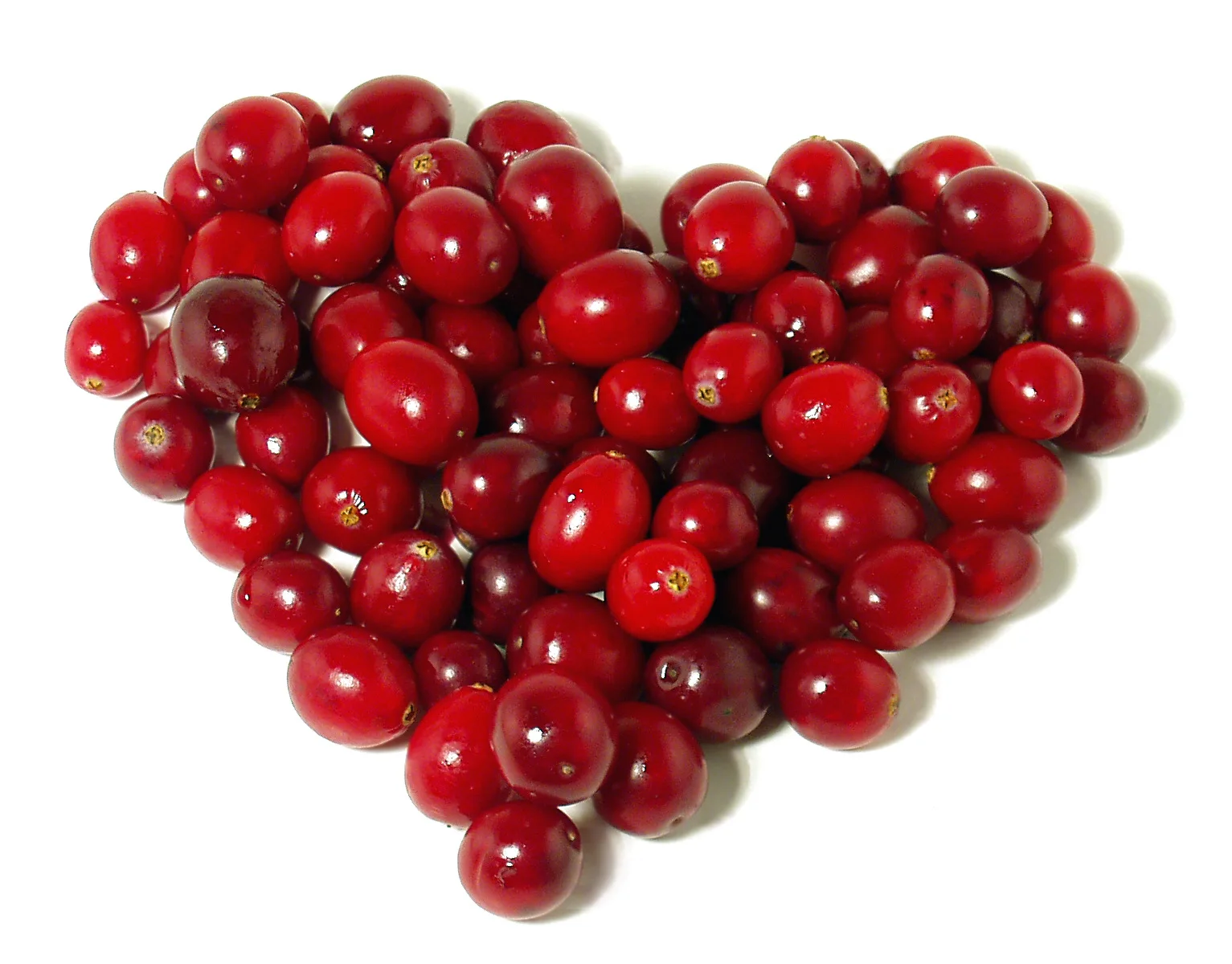 hot sale bulk cranberry extract powder 25% cranberry extract