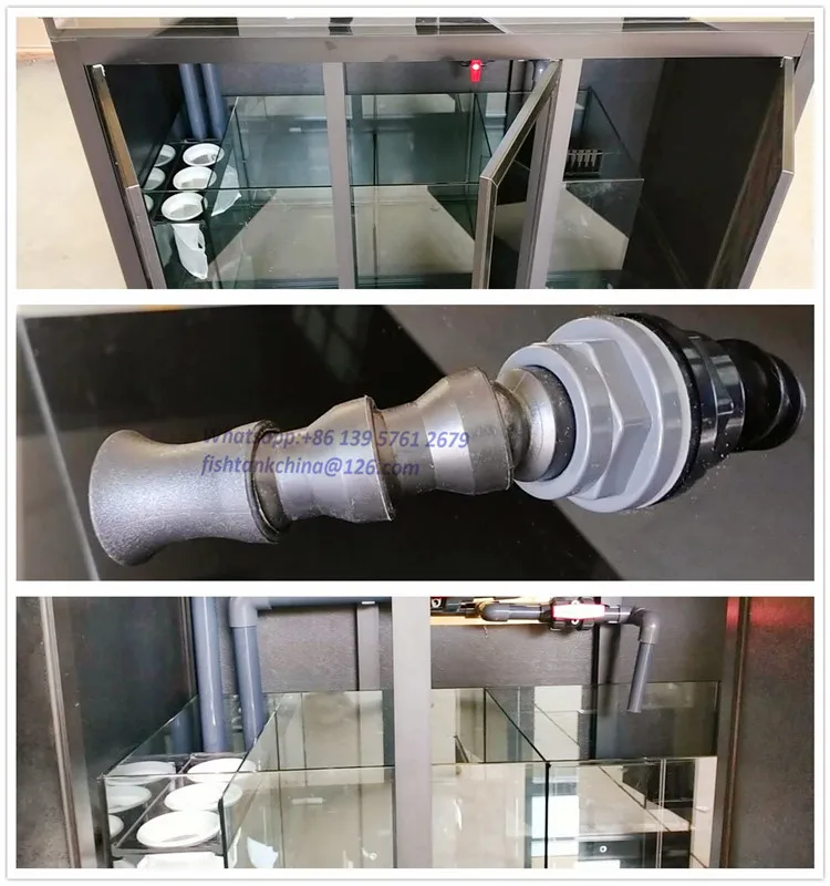 Salty Water Aquarium2_.jpg