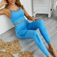 

New Style Women Sexy Knitted Seamless Yoga Sportswear 2 PCs Set Crop Tank Top and Hollow Out Gym Leggings Nylon Tracksuits