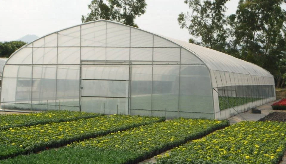 Single -span Greenhouse1.jpg