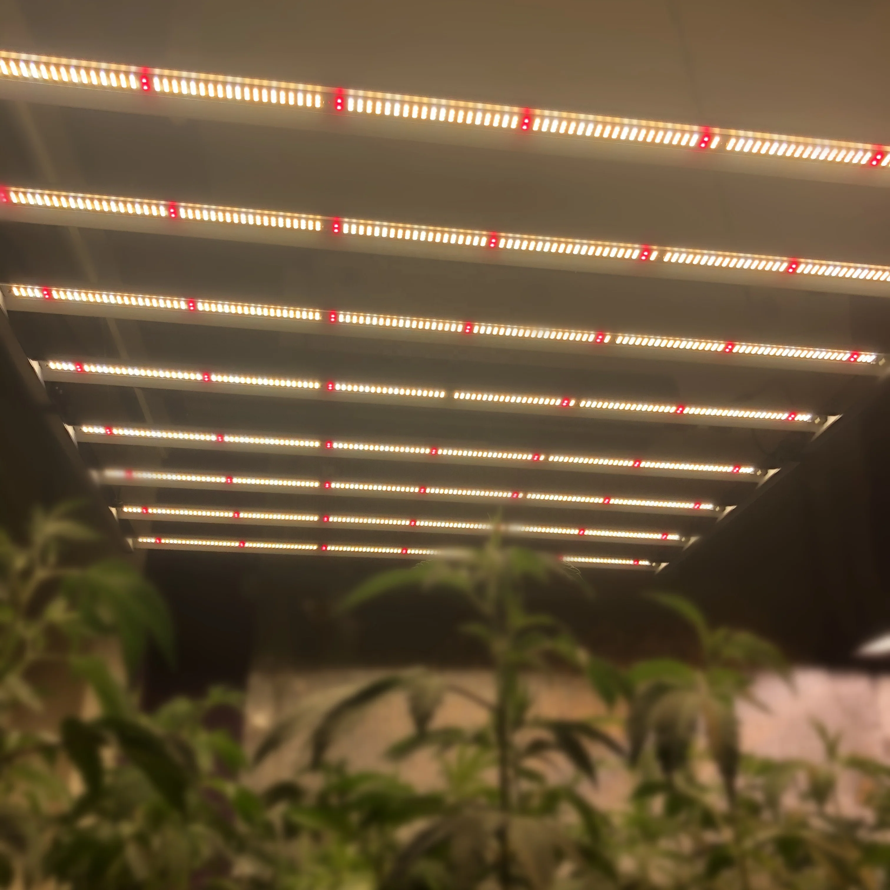 250W~700W Full Spectrum LED Grow Light Bar with Samsung LM301H (3000K&3500K) Mixed Osrams 660nm 730nm IR and 395nm UV LEDs