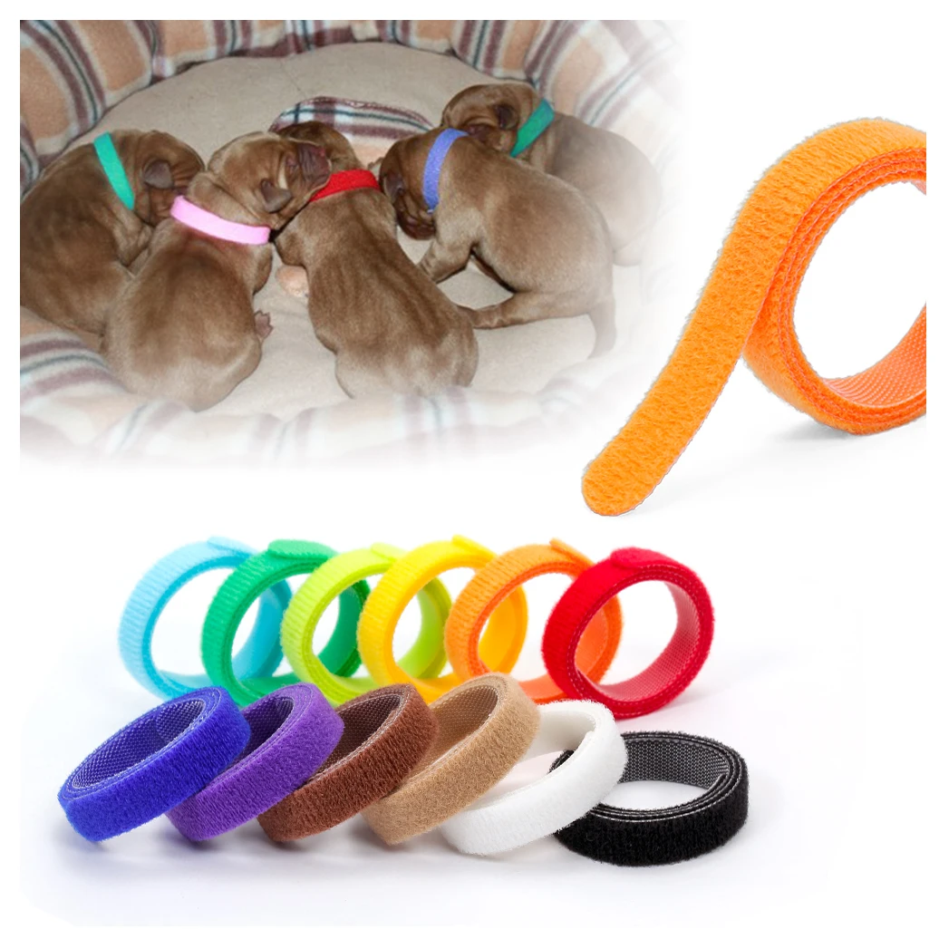 

Personalized adjustable litter blank cat pets identification id customized nylon collar supplies puppy pet collars for small dog, 12 color