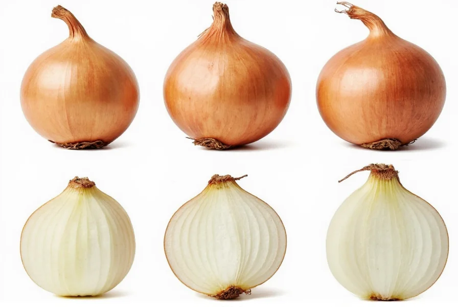 from minced onion to whole onion smart storage usage hacks for every kitchen