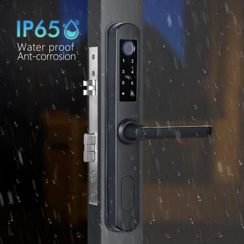 

Eseye Waterproof 92 mortise Zinc Alloy Tuya Wifi Inteligente Lock Fingerprint Aluminium Door Lock