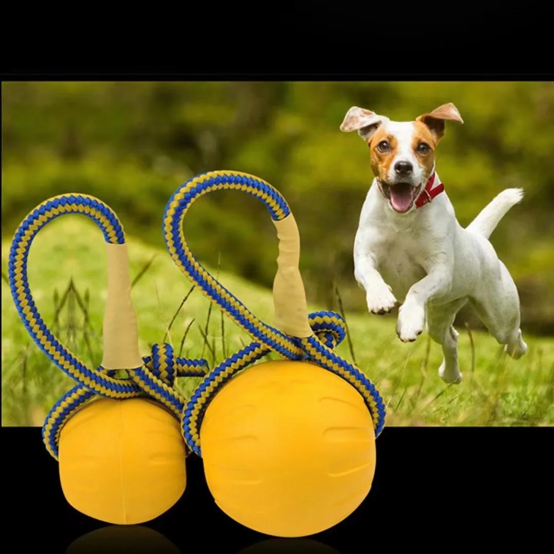 

Chew toys Rope Dog Ball Swing 'n Fling Durable Foam Ball Dog Toy Medium