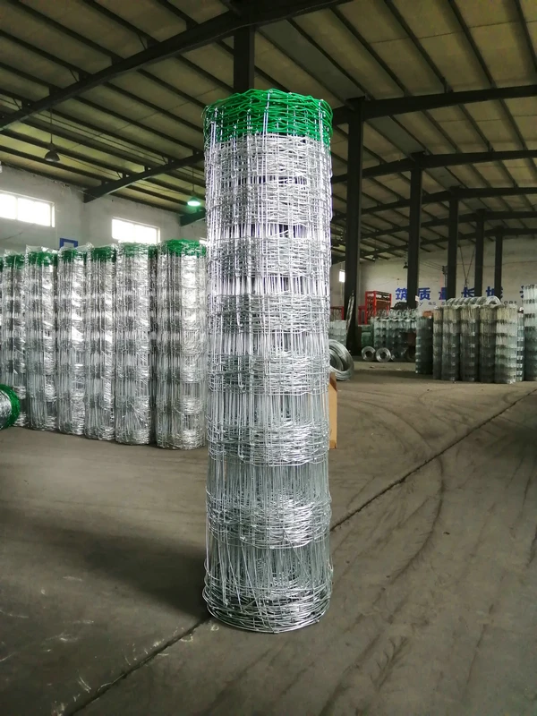 Galvanized Wire Mesh Fences For Cattle Hinge Joint Fence With The Pvc