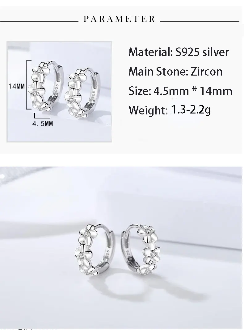 MiAnMiAn Womens Fashion Earrings S925 Pure Silver 3a Zircon with Tasseled Earrings 