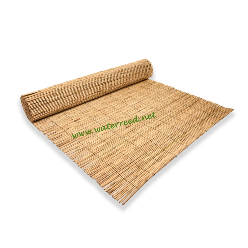Reed Mat Natural Fence Buy Reed Fence,Reed Mat,Reed Screening Product