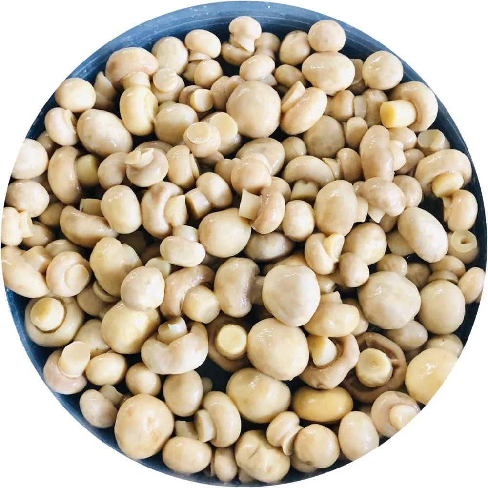 
New crop fresh mushroom in brine 