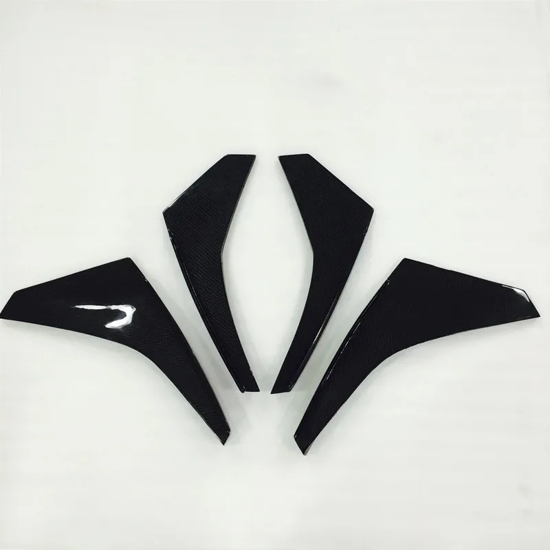 r35canardscf (1)_.jpg