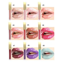 

High Glitter Pigmented Shiny Lipglosses Lipgloss Squeeze Tube Private Labeling