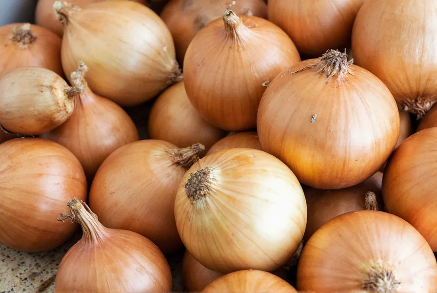 Dried Onion Varieties