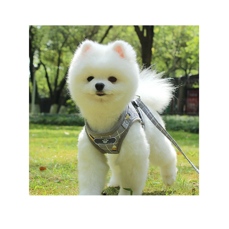 

Vest For Pet Dogs Waterproof Dog Collar Leash Set, Brown