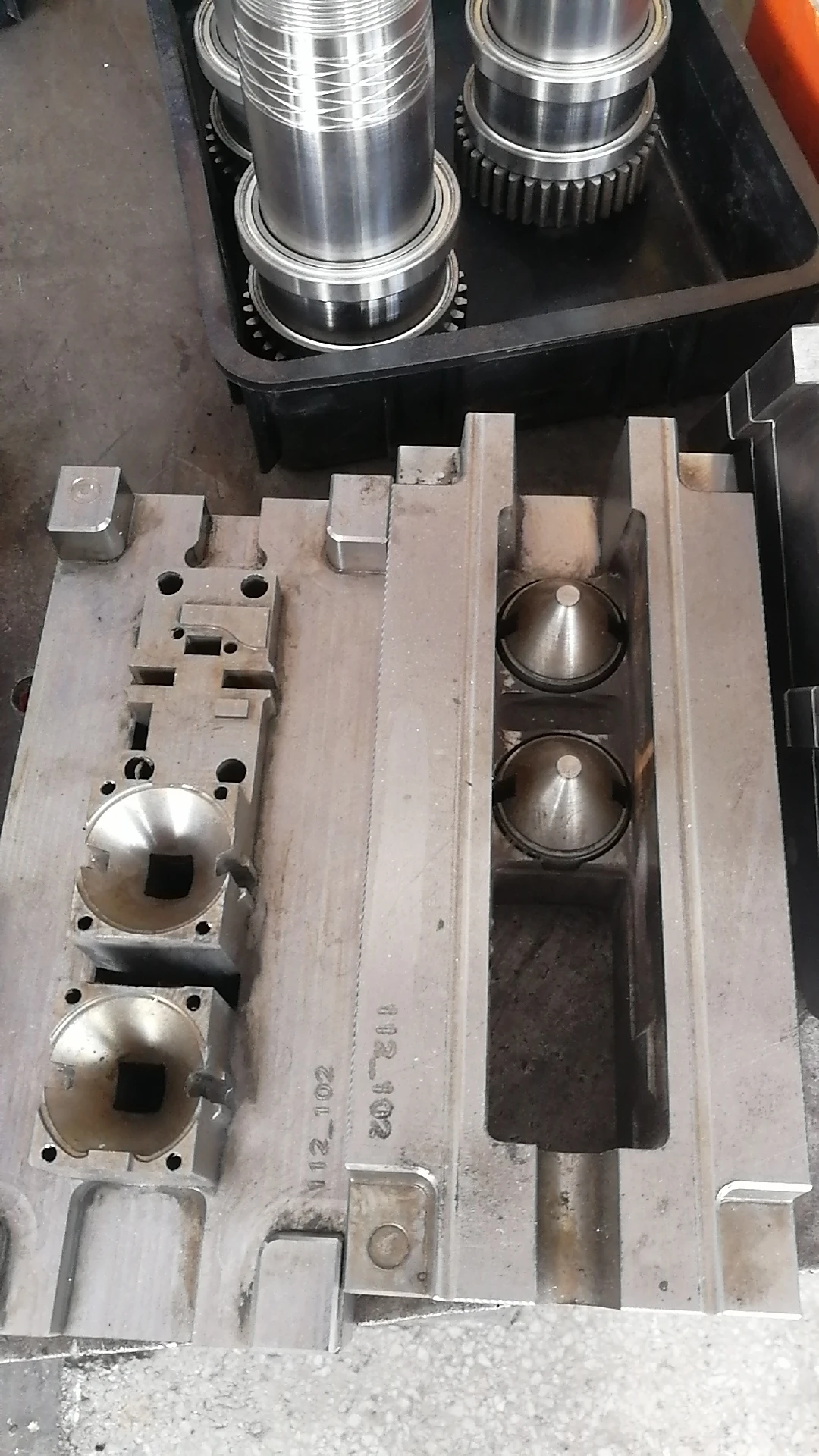 The len housing mold photo.jpg