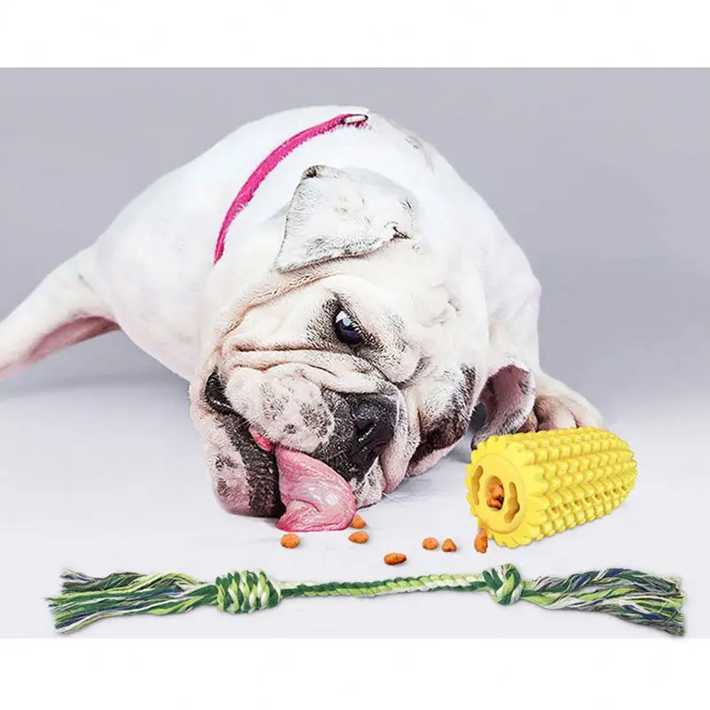 

Hot product for dogs accessories dog popping mouse cat toy