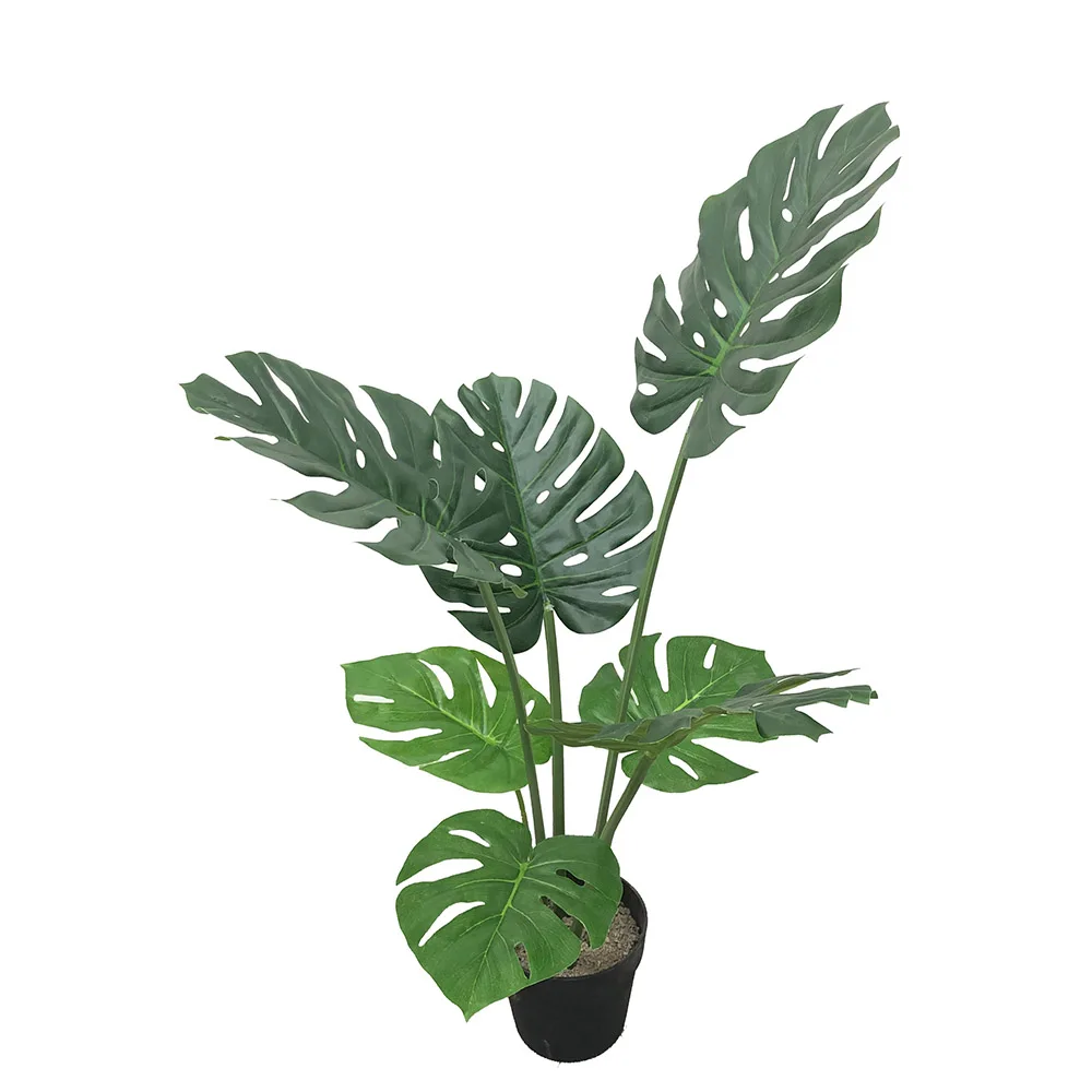 Monstera 90cm.jpg