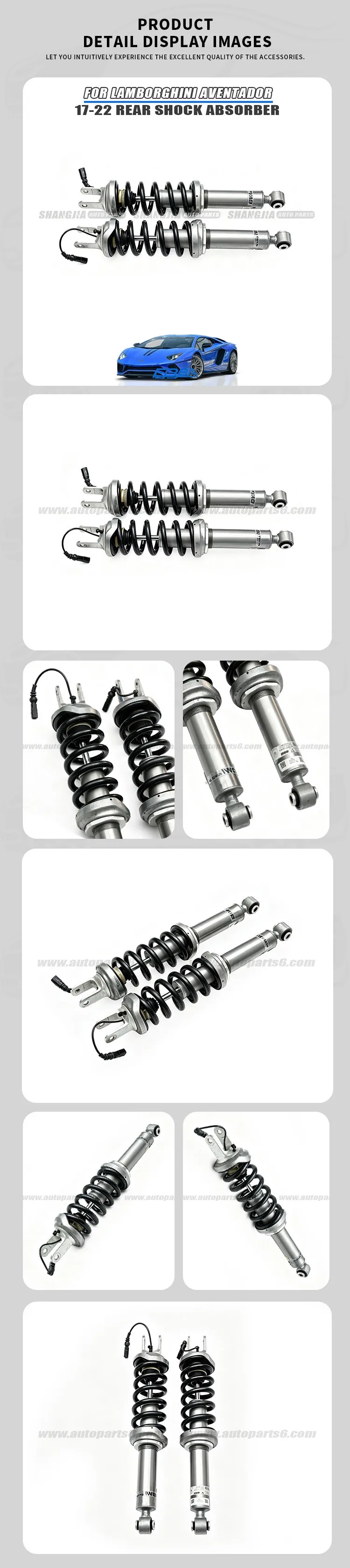Aventador Rear Shock Absorber Detail