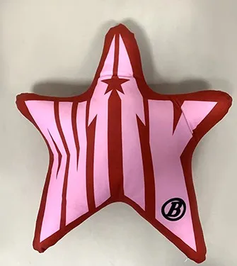 Custom Pillow