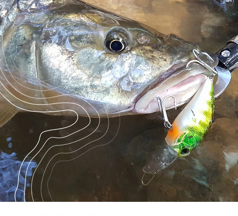 Mustad hook fishing.jpg
