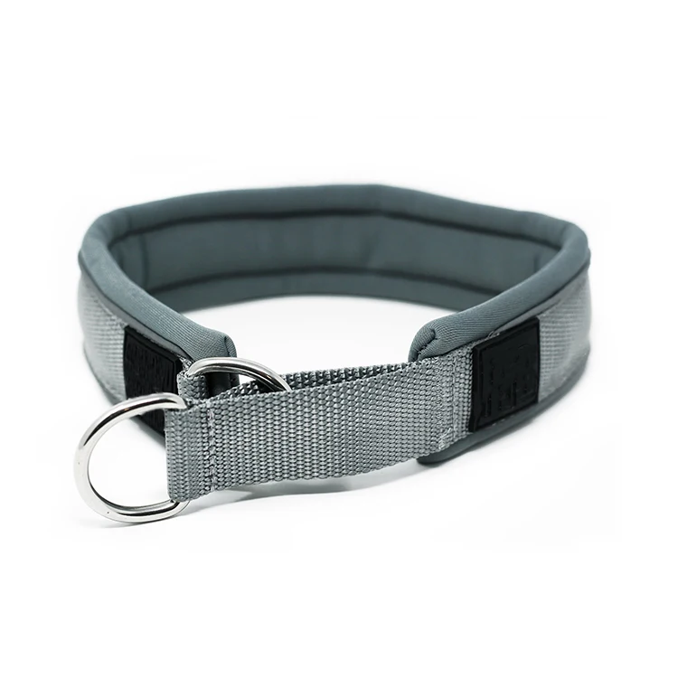 

1.5inch Width Reflective Soft Neoprene Padded Slip Dog Collar, Customized color