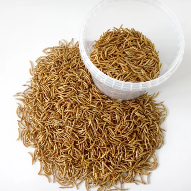 
Top Rated Hot Selling Wholesale High Quality High Nutrition High Protein Feeding Grade Dried Mealworm In Tub For Small Animals 