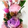 Intricate Pattern Lamp Lighting On Eternal Processed Flowers Dome Glass Bottle