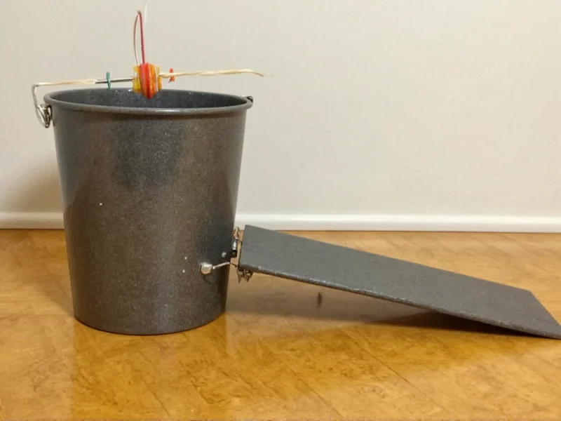 DIY mouse trap bucket setup with ramp and bait