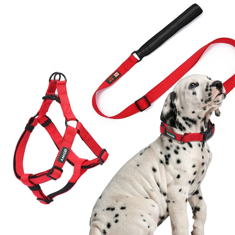 

Midepet Pet supplies dog collar leash OEM custom led dog collar leash polyester fashion dog harness set, Black,blue,red,customized