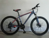 

26 Inch 21 Speed single speed cheap price bicycle in stock for sale