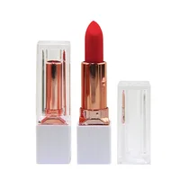 

Waterproof No Logo Lipstick Organic Lipstick for Private Label White Lipstick