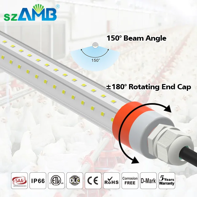 
2020 New Upgraded Rotating End Cap IP67 T8 Poultry Lighting 2020 New Upgraded Rotating End Cap IP67 T8 Poultry Lighting