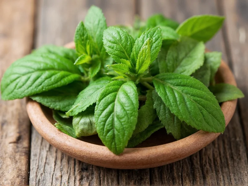 What Is Savory Herb: Culinary Uses & Benefits Explained