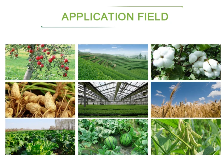 Amino-Acid-Powder (4)