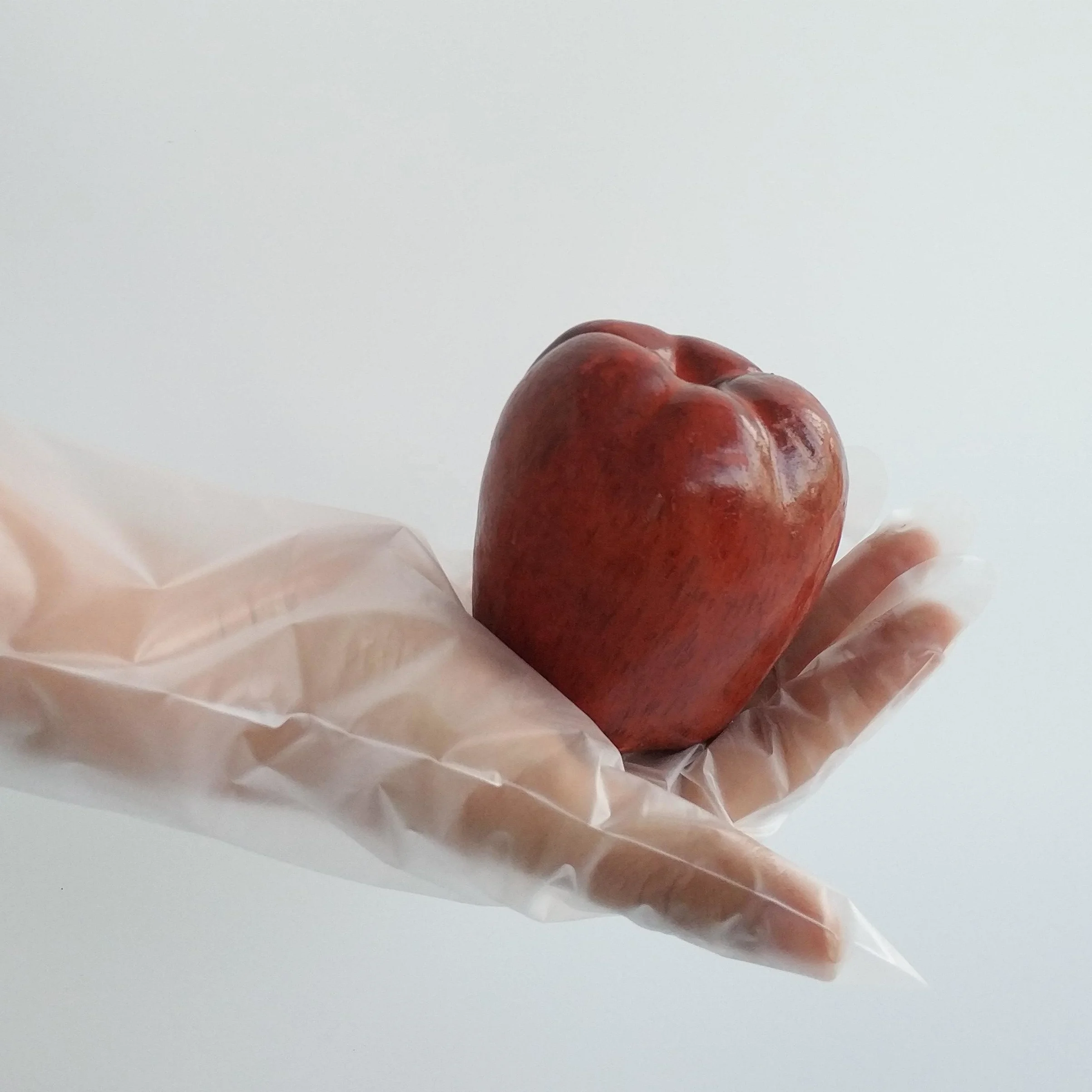 

china Factory CPE AND TPE Disposable Gloves