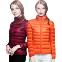 

Fall and Winter 2019 New Lightweight Large Size Vertical Collar Down autumn jackets for woman wholesale fashion women clothing