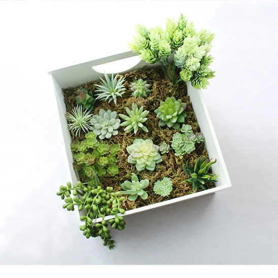 

Hot Sale Mini Green Netherlands Assorted Desk Decoration Small Cute House Rare Succulent Plants Artificial Real Touch Plants, Customizable