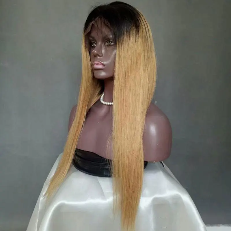 100% virgin remy brazilian 10-26inch straight 1b 27 ombre human hair wigs for black women lace front