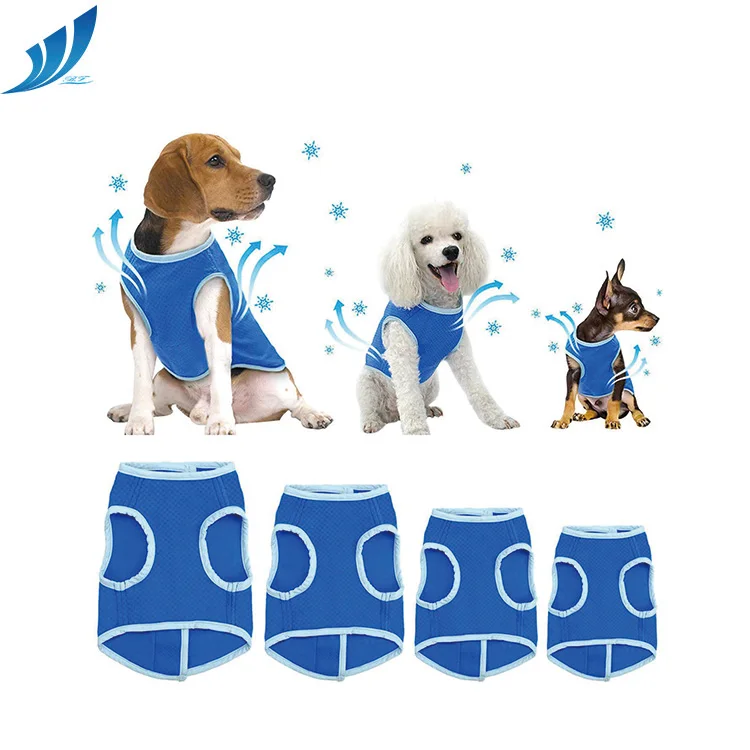 

Super Soft Personalized customized Promotional colorful cute cooling dog clothes, Blue dog clothes