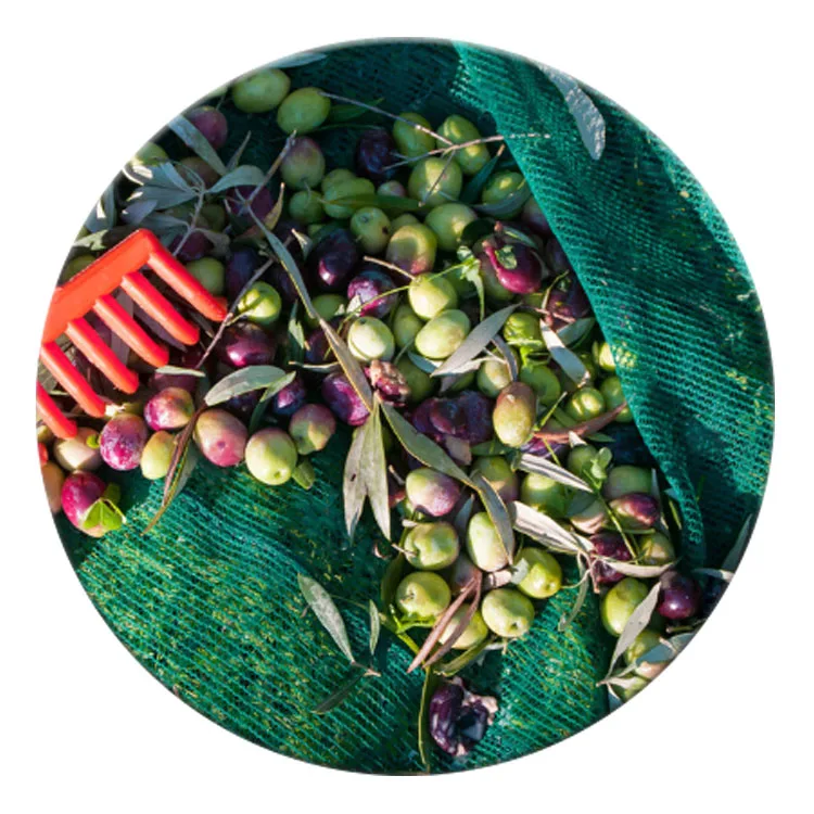 

90gsm dark green olive netting, olive harvest net, Customized