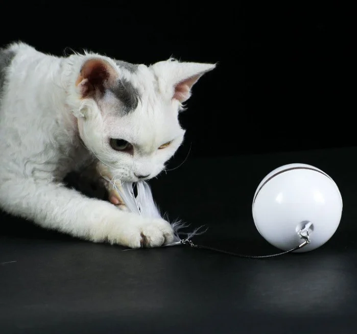 

New Style Electronic Cat Lazer Scroll Toy Scratching Balls With Usb Charging