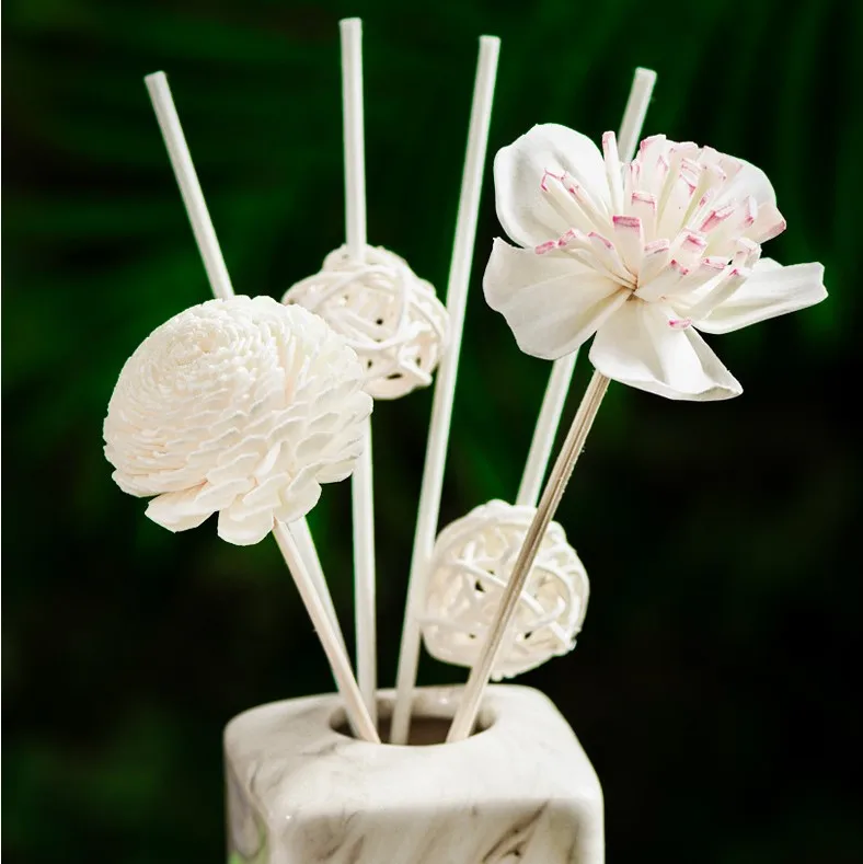 

Assorted Stemmed Sola Wood Flowers Assortment For Reed Diffuser Wedding Bouquets